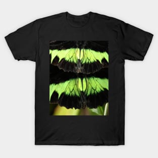 Abstract Butterfly T-Shirt